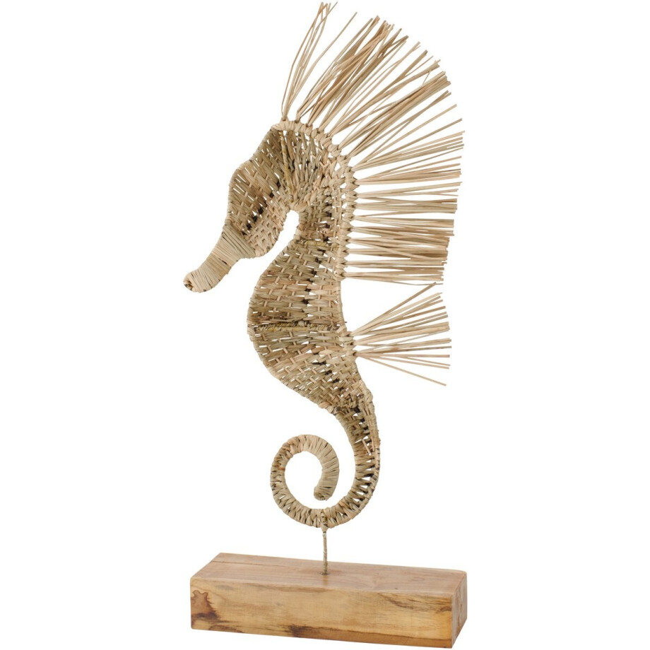 J-Line decoratie Zeepaard Op Voet - gras - naturel - large afbeelding 1