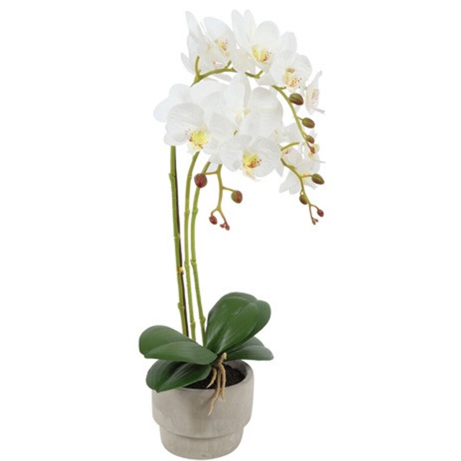 Countryfield Kunstplant Phalenopsis w/pot (kunst)zijde 15x25x56cm wit Countryfield Kunstplant Phalenopsis w/pot (kunst)zijde 15x25x56cm wit afbeelding