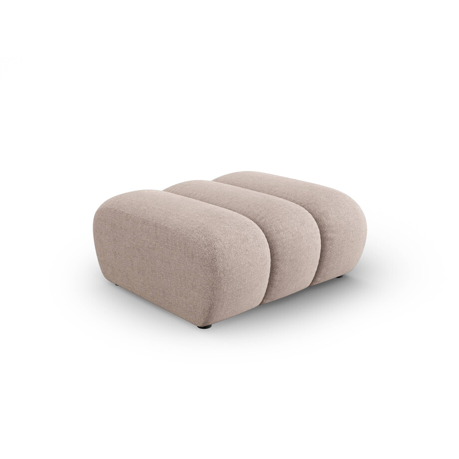 Hocker Lupine | Micadoni afbeelding 1