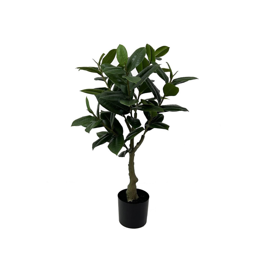 Kunstplant Rubber Tree | Present Time afbeelding 1