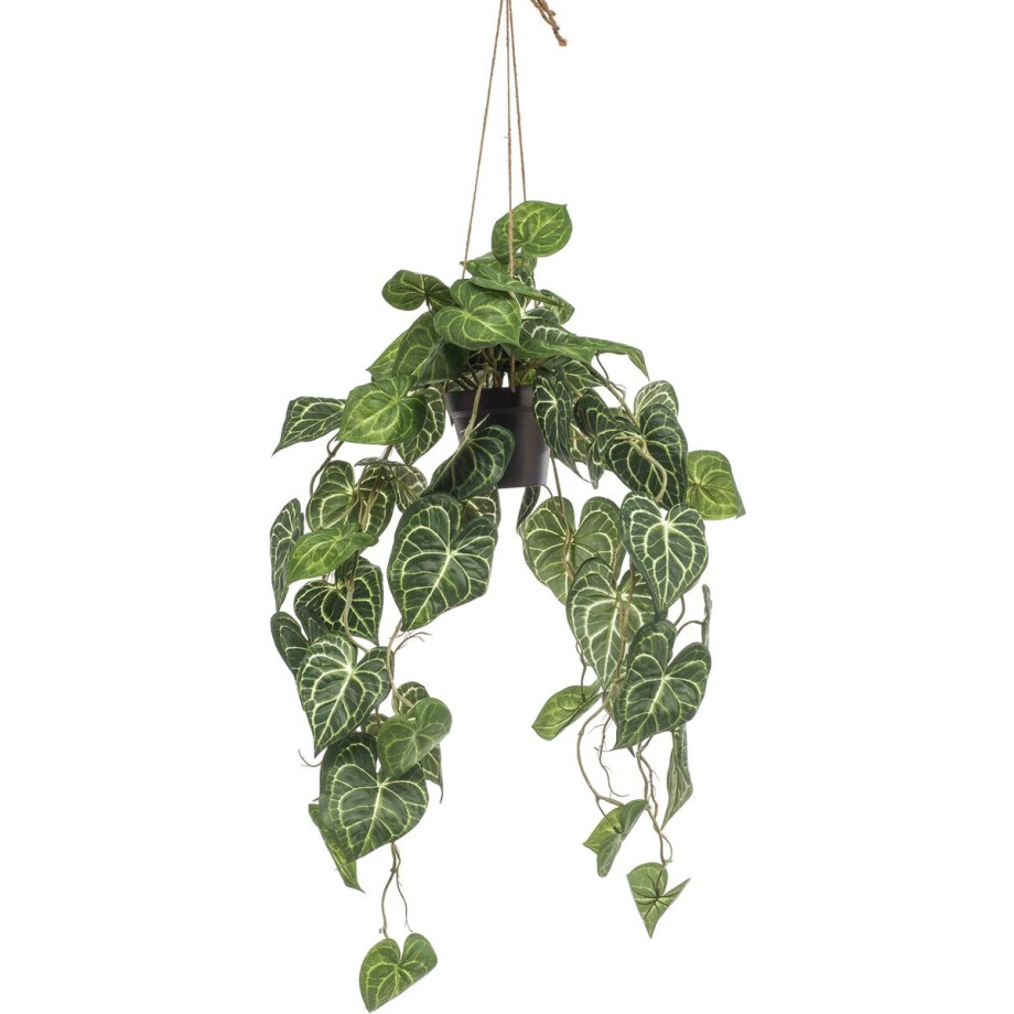 Emerald - Kunst Hangplant in pot Anthurium 80cm - Kunstplant voor binnen afbeelding 1