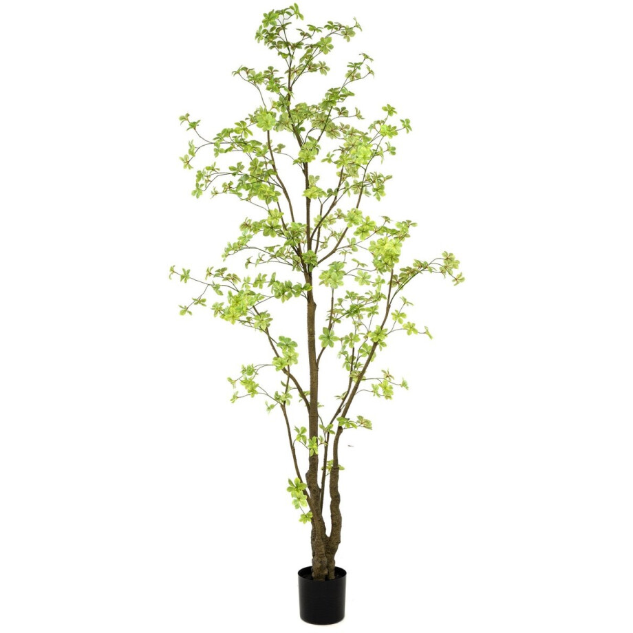 Emerald - Kunstboom Tropaeolum 270cm - Kunstplant voor binnen - Tropaeolum plant - Oost Indische kers afbeelding 1