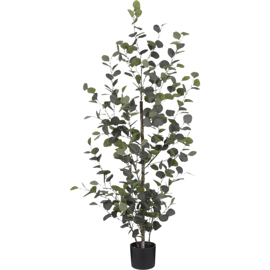 Mica Decorations - Eucalyptus Kunstplant in Bloempot - H150 x Ø30 cm - Groen Mica Decorations - Eucalyptus Kunstplant in Bloempot - H150 x Ø30 cm - Groen afbeelding 1