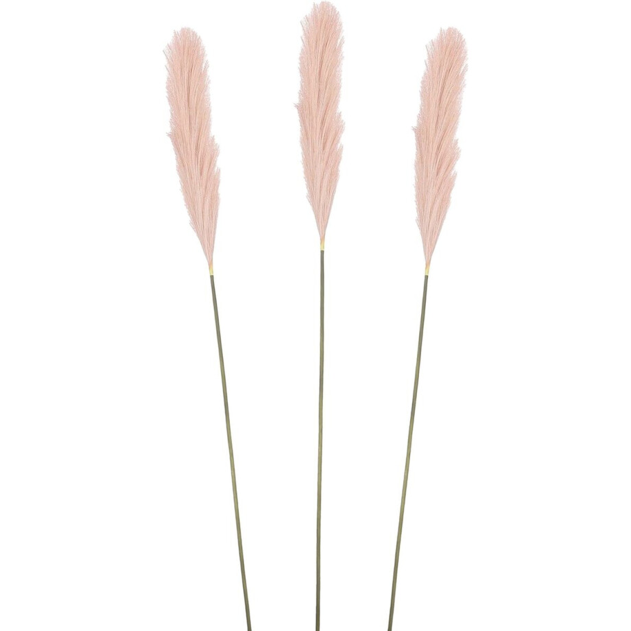 Mica Decorations Pluimgras losse steel/tak - 3x - pastel roze - 104 cm - Decoratie kunst bloemen Mica Decorations Pluimgras losse steel/tak - 3x - pastel roze - 104 cm - Decoratie kunst bloemen afbeelding 1