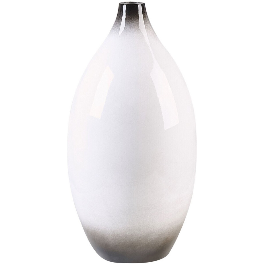 BELIANI BAEZA - Decoratieve vaas - Wit - Terracotta afbeelding 1