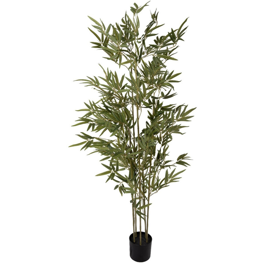 Clayre & Eef Kunstplant 35x35x160 cm Groen Kunststof Clayre & Eef Kunstplant 35x35x160 cm Groen Kunststof afbeelding 1