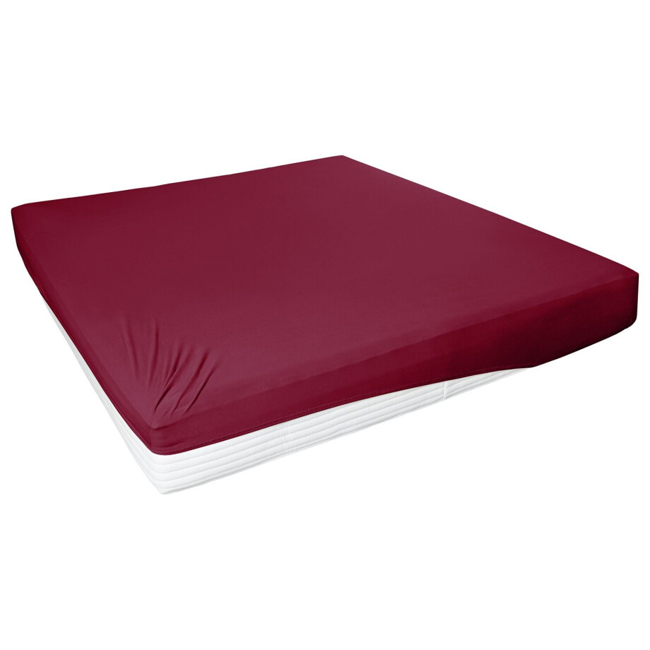 PRIMERA Jersey hoeslaken, 90-200 x 200 cm (Bordeaux, 180 - 200 x 200 cm) afbeelding 1