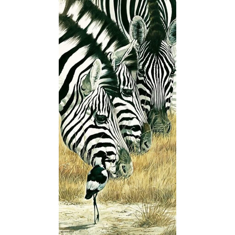 Kunstdruk Renato Casaro - Black and White 50x100cm afbeelding 1