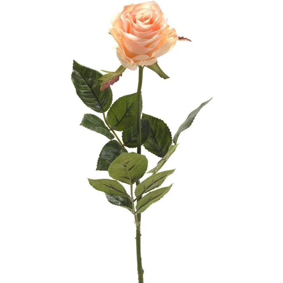 Emerald Kunstbloem roos Simone - zalm kleurig - 73 cm - decoratie bloemen Emerald Kunstbloem roos Simone - zalm kleurig - 73 cm - decoratie bloemen afbeelding 1