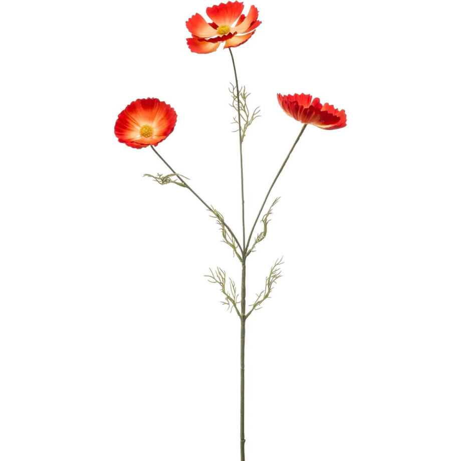 Emerald - Kunstbloem Cosmos 80cm oranje - Kunstplant voor binnen Emerald - Kunstbloem Cosmos 80cm oranje - Kunstplant voor binnen afbeelding 1