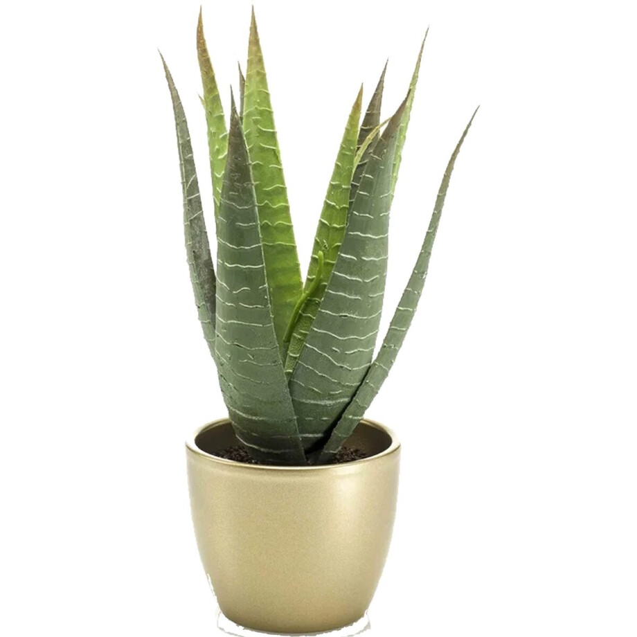 Emerald Kunstplant Aloe Vera - groen - in gouden pot - 23 cm Emerald Kunstplant Aloe Vera - groen - in gouden pot - 23 cm afbeelding 1