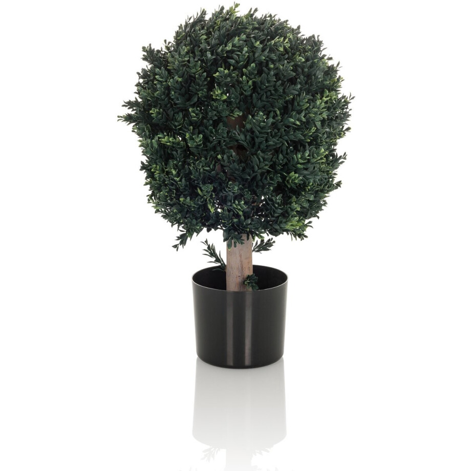 Kunstplant/kunstboom BUXUS 65 cm groen hjh OFFICE afbeelding 1