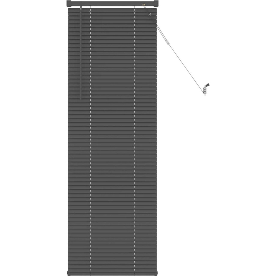 vidaXL - Venetiaanse - jaloezie - Zilvergrijs - 150 - x - 50 - cm - 25 - mm - PVC vidaXL - Venetiaanse - jaloezie - Zilvergrijs - 150 - x - 50 - cm - 25 - mm - PVC afbeelding 1