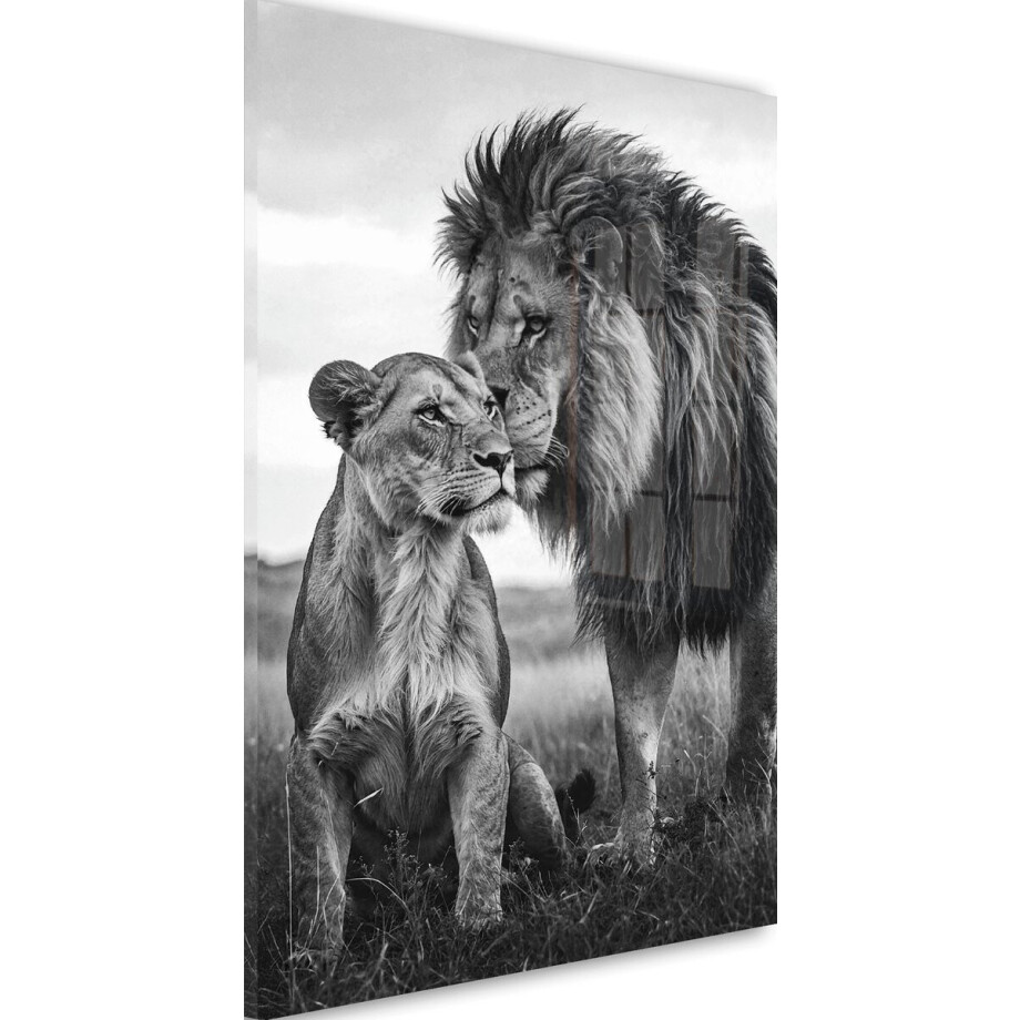 Glasschilderij De liefde tussen leeuw en leeuwin - Zwart / Wit - 30 x 20 cm - Leeuwen familie - Acrylaat - Inclusief wandbevestiging - Foto op plexiglas - Wanddecoratie woonkamer - Dieren - Natuur - Afrika Glasschilderij De liefde tussen leeuw en leeuwin - Zwart / Wit - 30 x 20 cm - Leeuwen familie - Acrylaat - Inclusief wandbevestiging - Foto op plexiglas - Wanddecoratie woonkamer - Dieren - Natuur - Afrika afbeelding 1