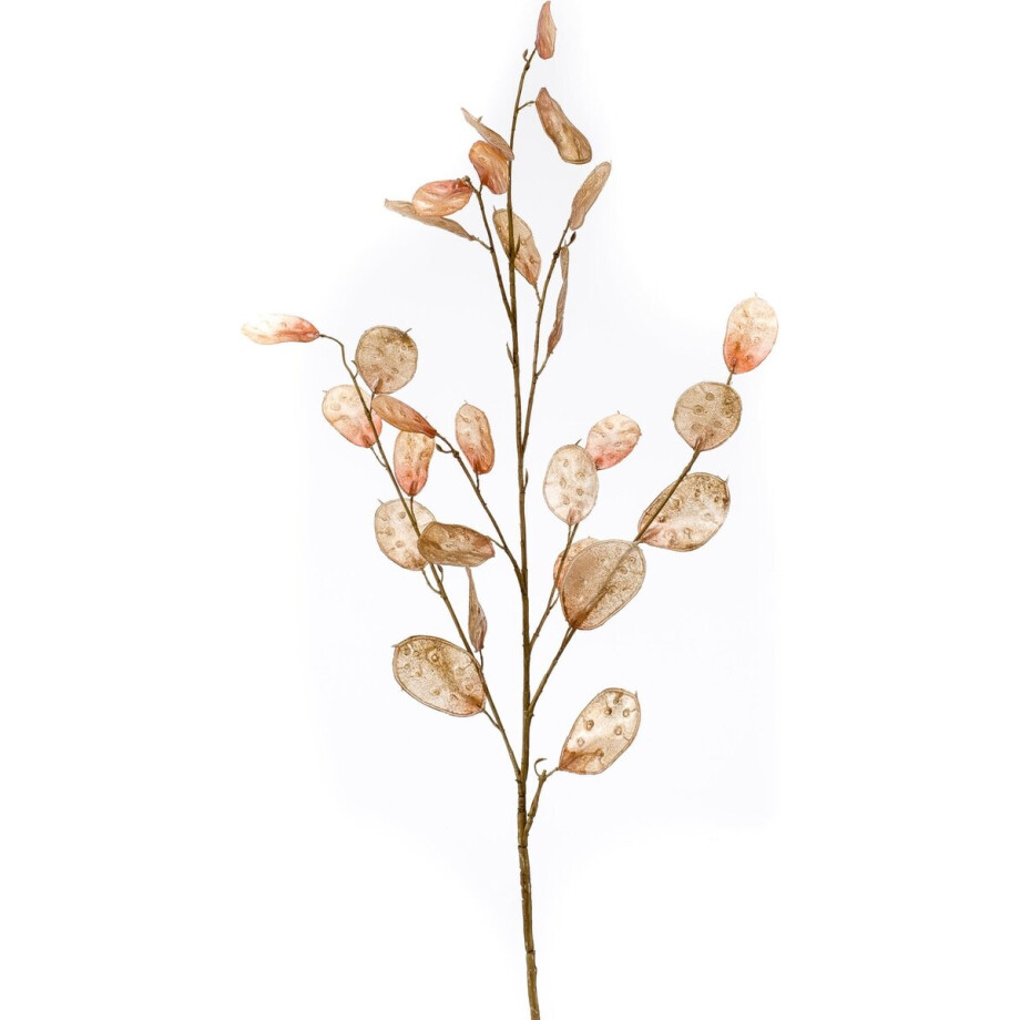 Emerald - Kunstbloem Judaspenning 105cm bruin - Kunstplant voor binnen afbeelding 1