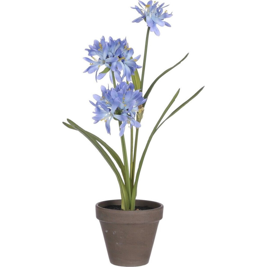 MICA DECORATIONS AGAPANTHUS ARTIFICIAL PLANT IN PLANT POT STAN - H45 X Ø20 CM - BLUE afbeelding 1
