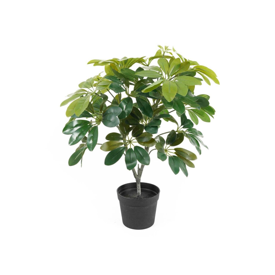 Kunstplant Shefflera | Present Time afbeelding 1
