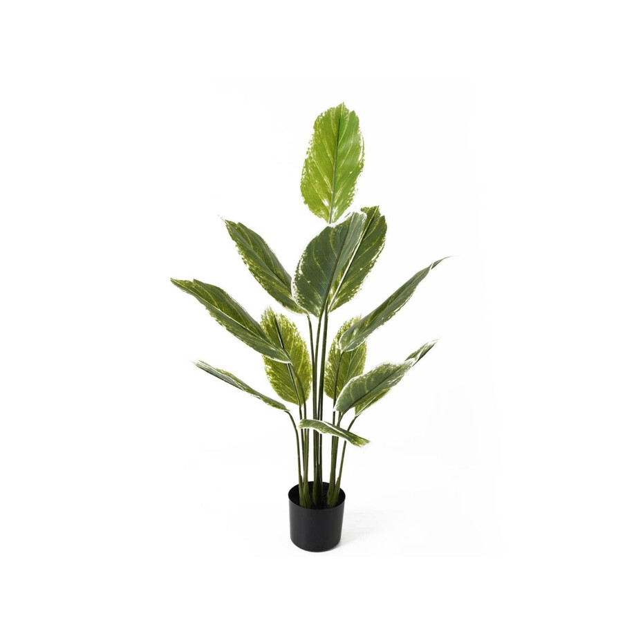 Kunstplant Calathea | Present Time afbeelding 1
