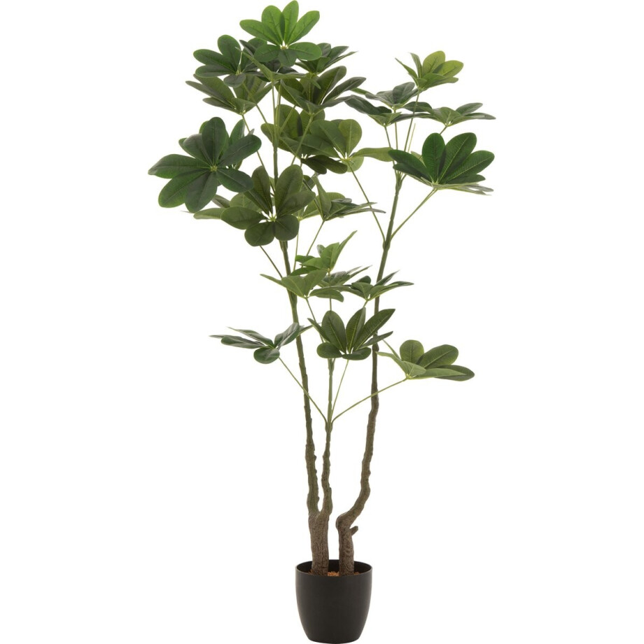 J-Line geldboom In Pot - kunststof - groen - large J-Line geldboom In Pot - kunststof - groen - large afbeelding 1
