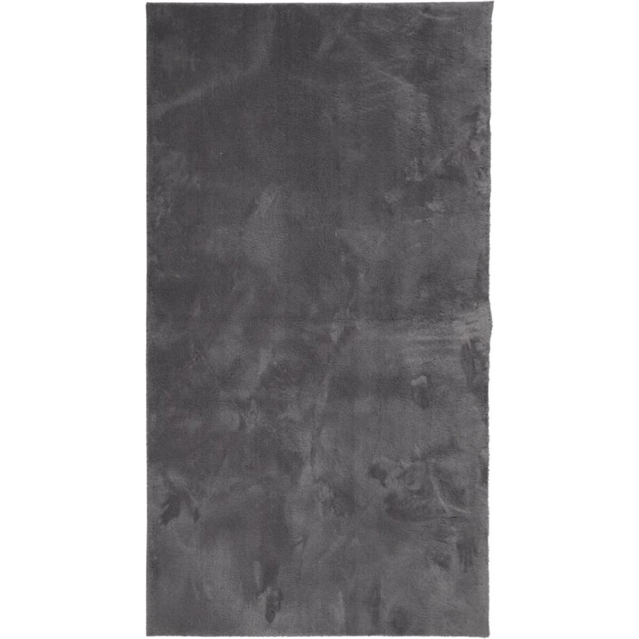 vidaXL - Vloerkleed - HUARTE - laagpolig - zacht - wasbaar - 80x150 - cm - antraciet afbeelding 1