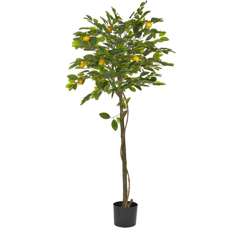 BELIANI LEMON TREE - Kunstplant - Groen - 156 cm - Synthetisch materiaal BELIANI LEMON TREE - Kunstplant - Groen - 156 cm - Synthetisch materiaal afbeelding 1