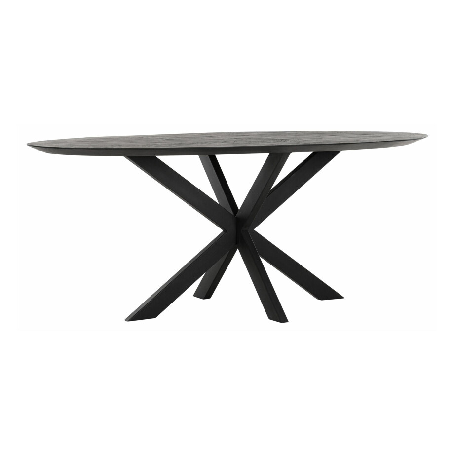 DTP Home Ovale Eettafel 'Shape' Teakhout, 200 x 100cm, kleur Zwart DTP Home Ovale Eettafel 'Shape' Teakhout, 200 x 100cm, kleur Zwart afbeelding 1