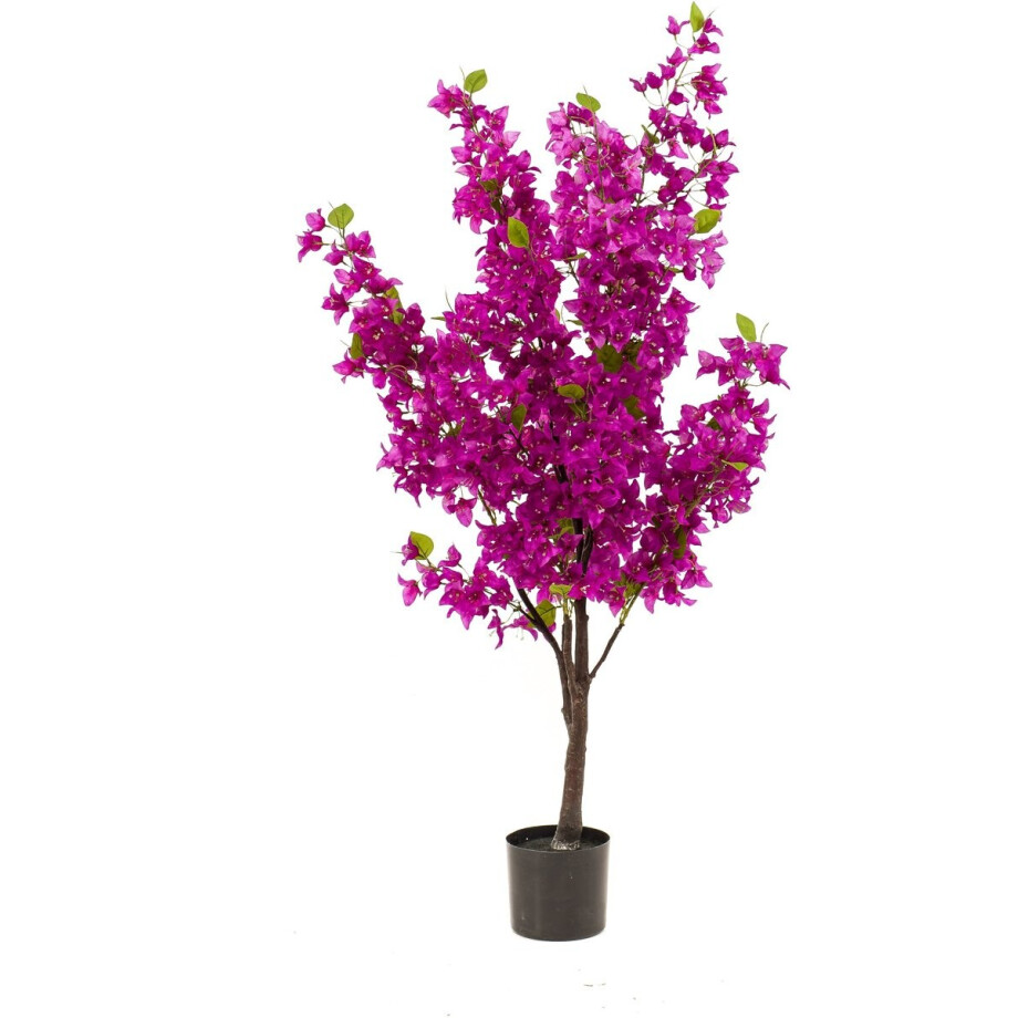 Emerald - Kunstboom Bougainvillea paars 145cm - Kunstplant voor binnen Emerald - Kunstboom Bougainvillea paars 145cm - Kunstplant voor binnen afbeelding 1