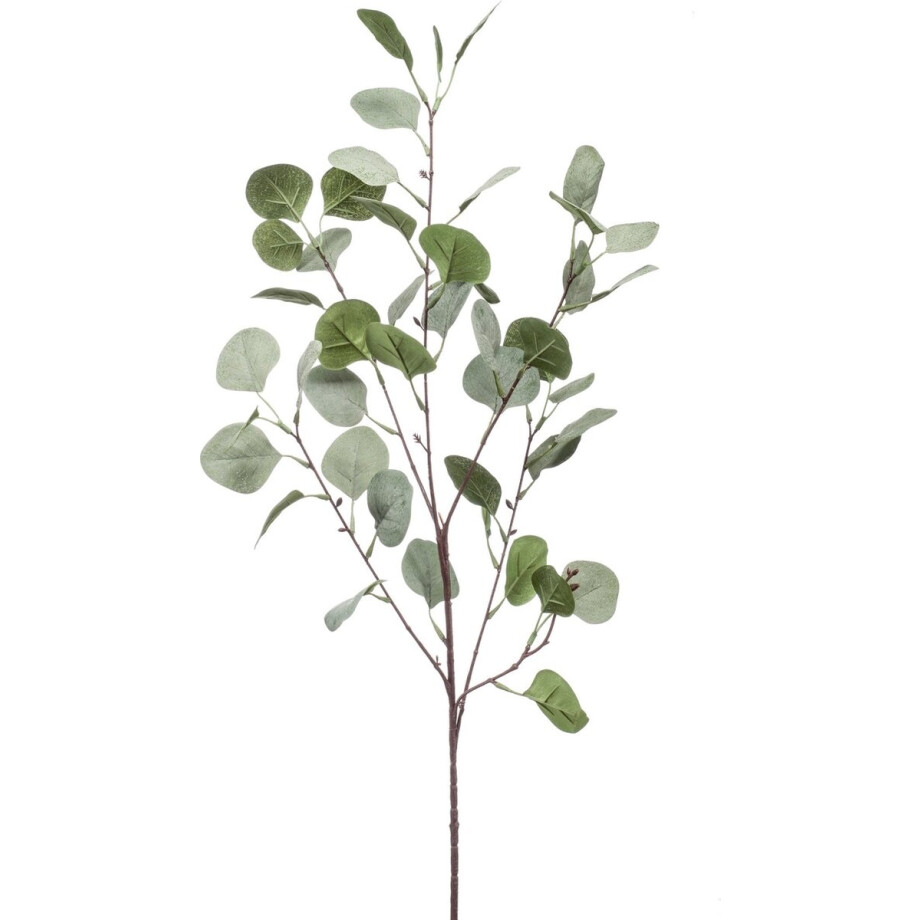 Emerald - Kunsttak Eucalyptus 87cm - Kunstplant voor binnen afbeelding 1