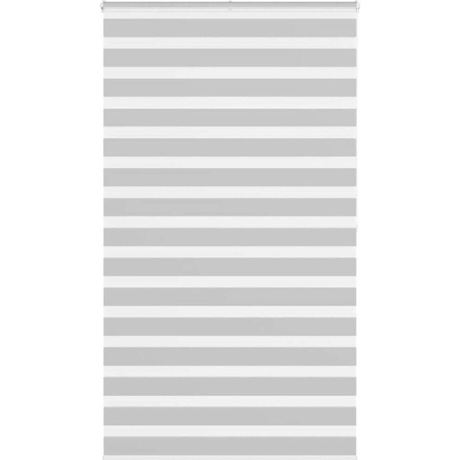 vidaXL - Zebra - rolgordijn - 125x200 - cm - stofbreedte - 120,9 - cm - lichtgrijs afbeelding 1