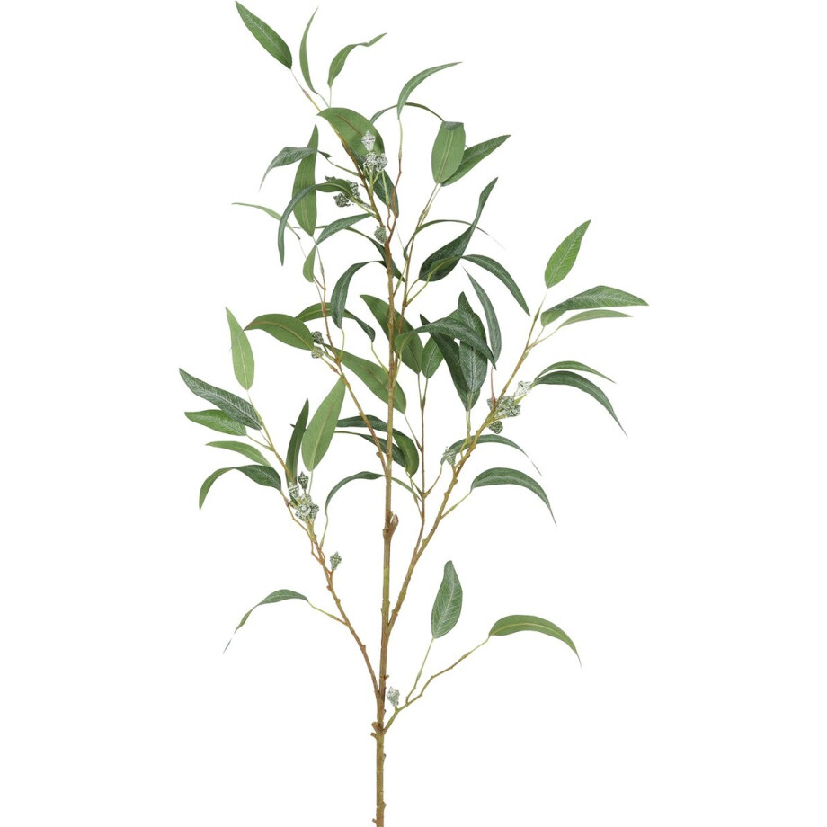 Countryfield Kunstblad Eucalyptus L wit Countryfield Kunstblad Eucalyptus L wit afbeelding 1