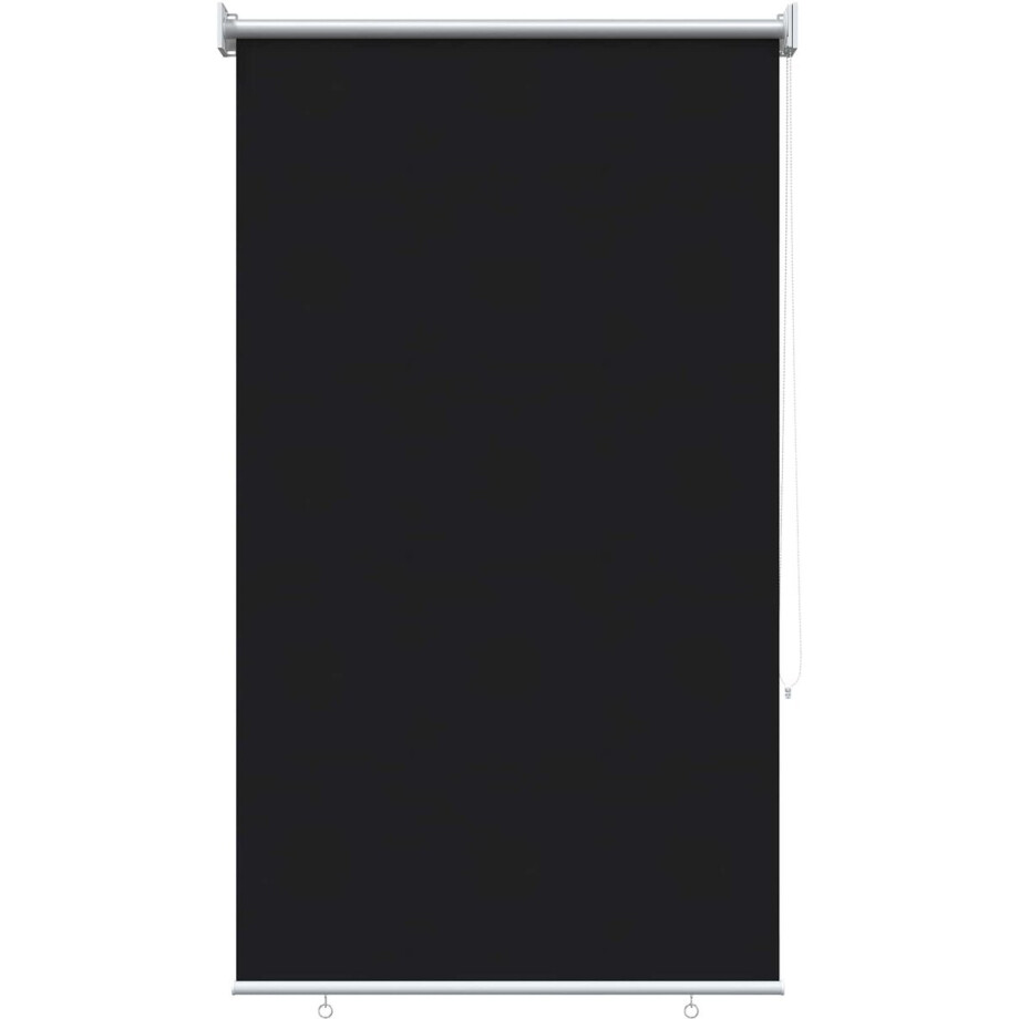 vidaXL - Buitenrolgordijn - UV-bescherming - Zwart - 100 - x - 230 - cm - (B - x - H) vidaXL - Buitenrolgordijn - UV-bescherming - Zwart - 100 - x - 230 - cm - (B - x - H) afbeelding 1