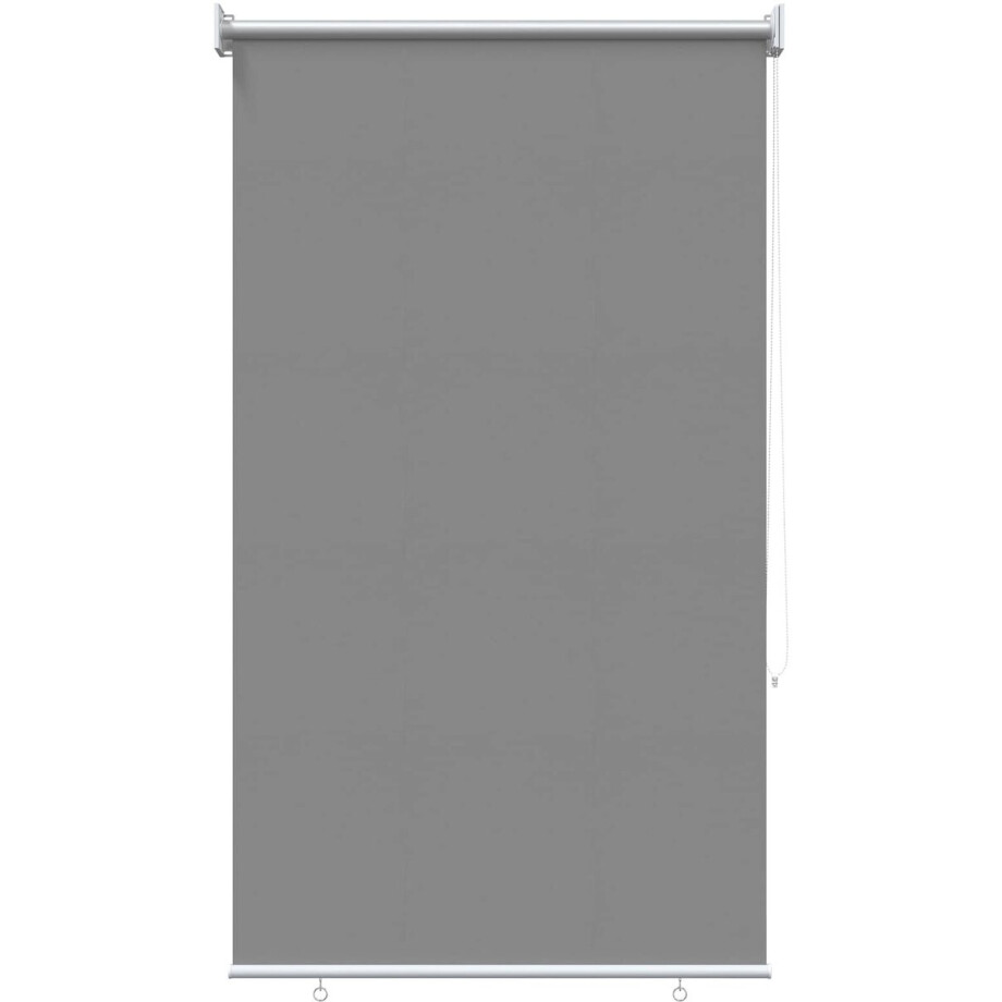 vidaXL - Buitenrolgordijn - UV-bescherming - Lichtgrijs - 100 - x - 230 - cm - (B - x - H) vidaXL - Buitenrolgordijn - UV-bescherming - Lichtgrijs - 100 - x - 230 - cm - (B - x - H) afbeelding 1