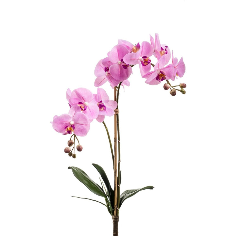 Emerald - Kunstplant Phalaenopsis RT 65cm roze - Kunstplant voor binnen afbeelding 1