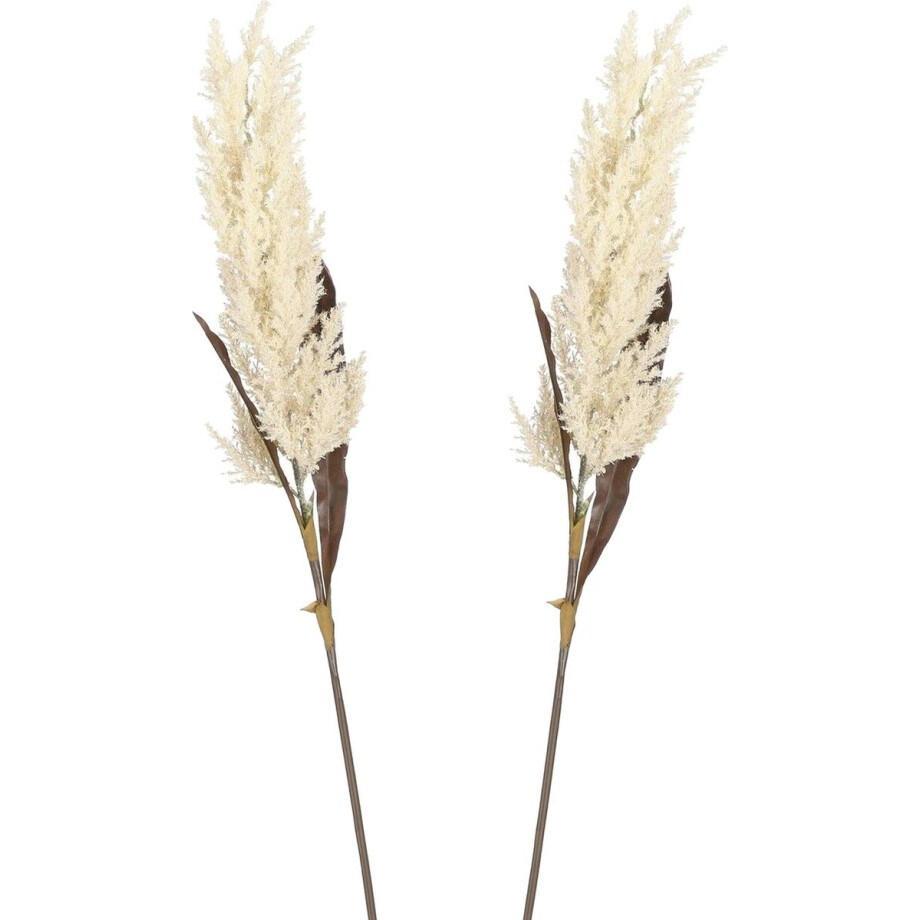 Mica Decorations Pampasgras pluim losse steel/tak - 2x - creme wit - 88 cm - Decoratie kunst bloemen Mica Decorations Pampasgras pluim losse steel/tak - 2x - creme wit - 88 cm - Decoratie kunst bloemen afbeelding 1