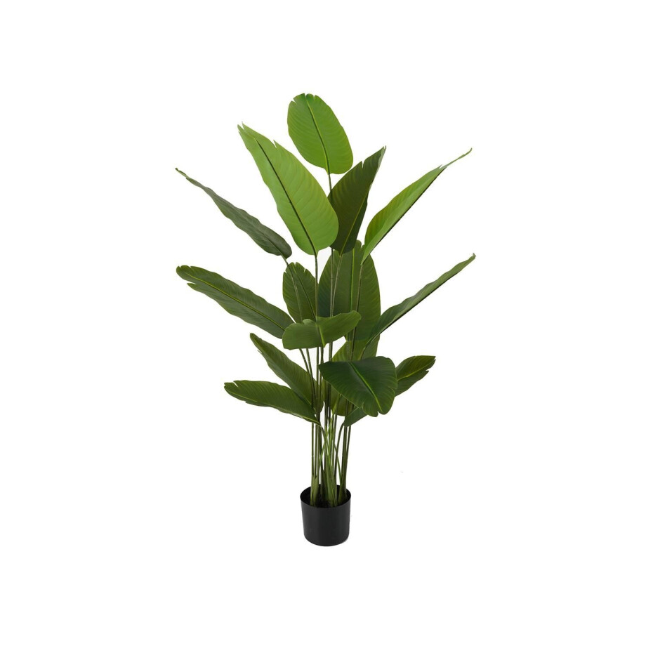 Kunstplant Canna | Present Time afbeelding 1