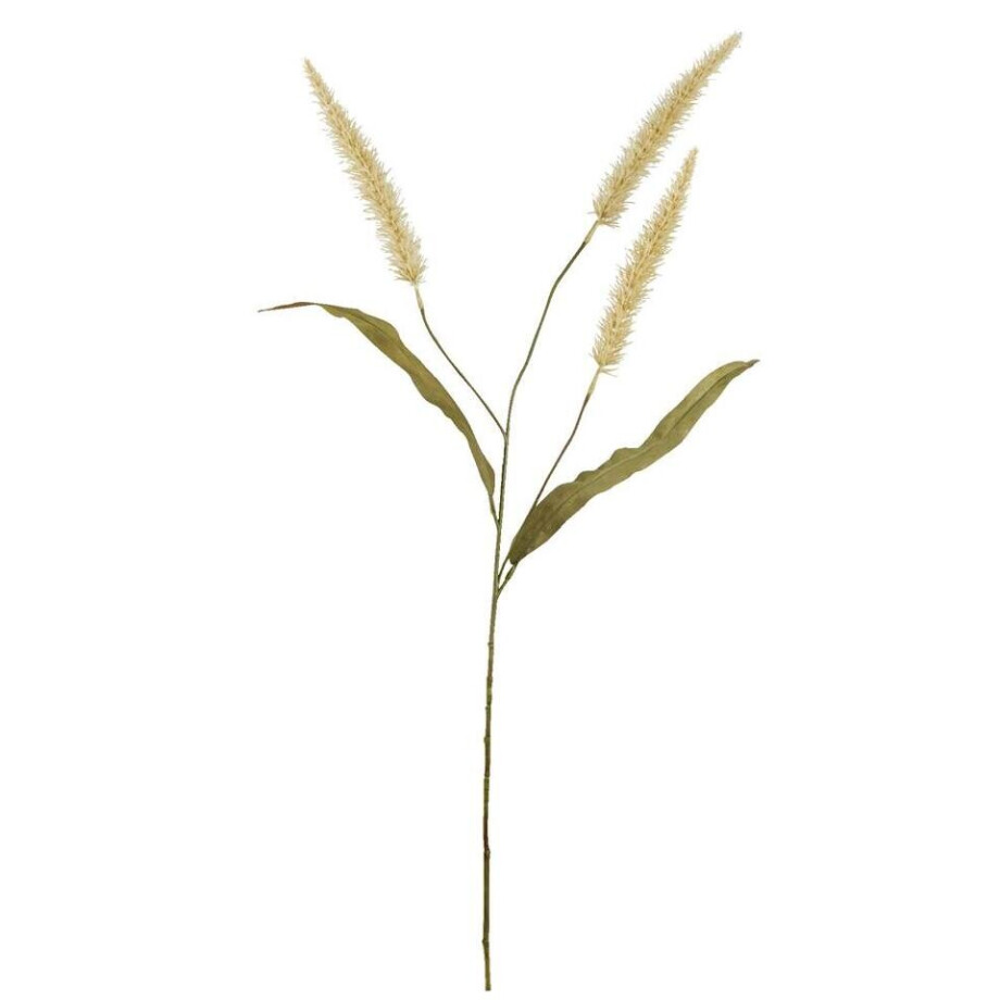 Leen Bakker - Kunstbloem Pennisetum Spray 3 Stuks - 33 Cm - Kunststof - Crème - H93 Cm afbeelding 1