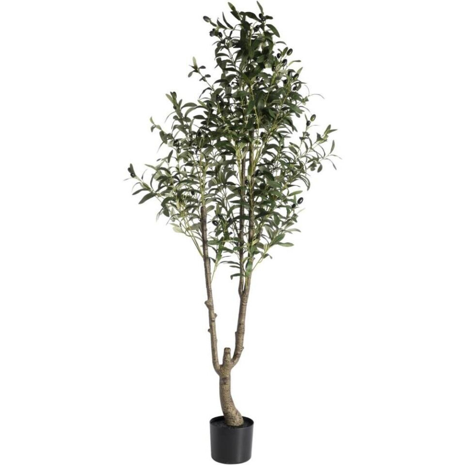 Leen Bakker - Kunstboom In Pot Olijfboom - /zwart - 150 Cm - Kunststof - Groen Leen Bakker - Kunstboom In Pot Olijfboom - /zwart - 150 Cm - Kunststof - Groen afbeelding 1