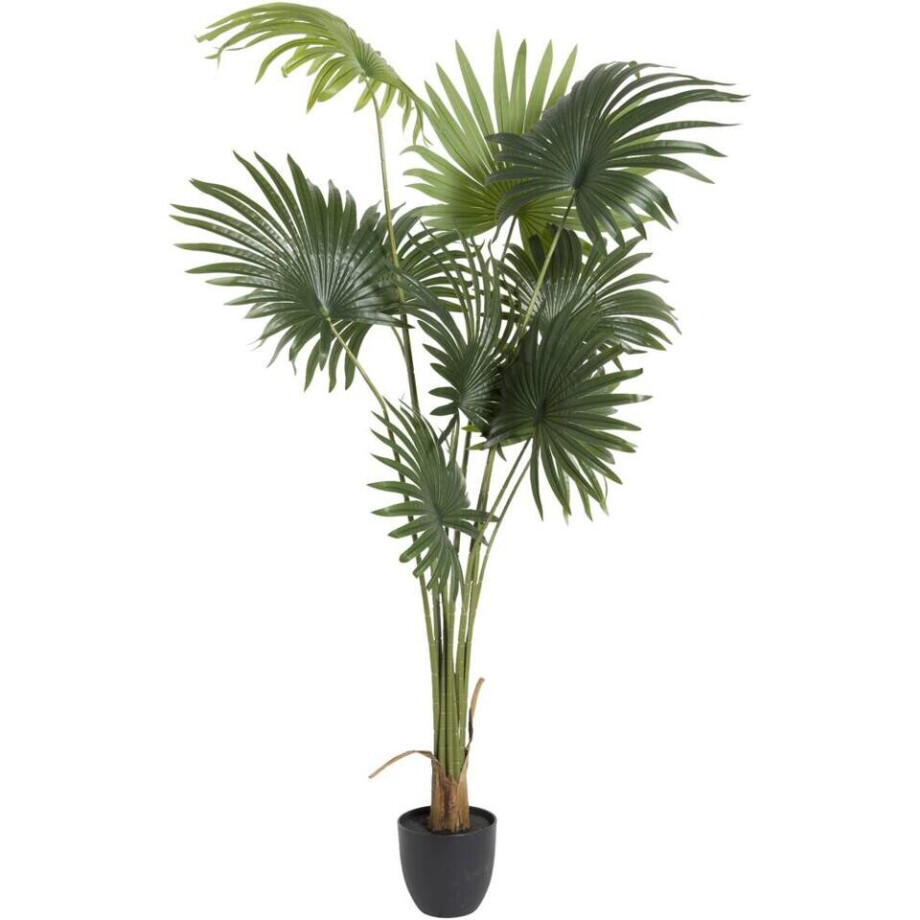 Leen Bakker - Kunstplant Waaierpalm - In-pot - /zwart - 180 Cm - Polyester - Groen afbeelding 1