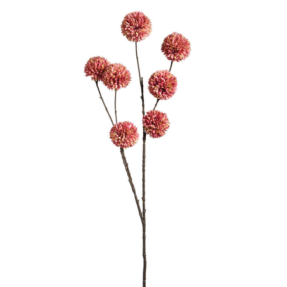 Leen Bakker - Kunstbloem Pompom Oud - 97 Cm - Katoen/PVC - Roze Leen Bakker - Kunstbloem Pompom Oud - 97 Cm - Katoen/PVC - Roze afbeelding 1