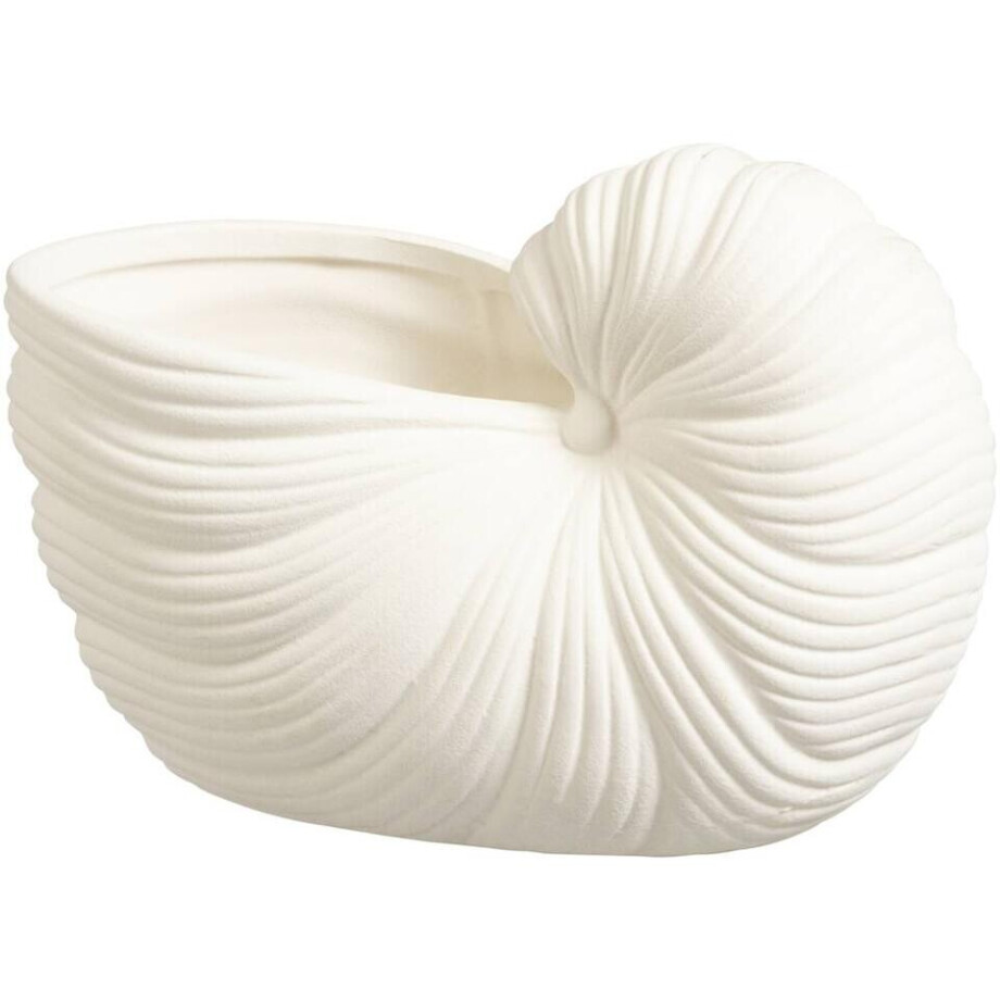 Leen Bakker - Decoratie Object Schelp - Off-white - 10x20x12 Cm - Keramiek - Crème Leen Bakker - Decoratie Object Schelp - Off-white - 10x20x12 Cm - Keramiek - Crème afbeelding 1
