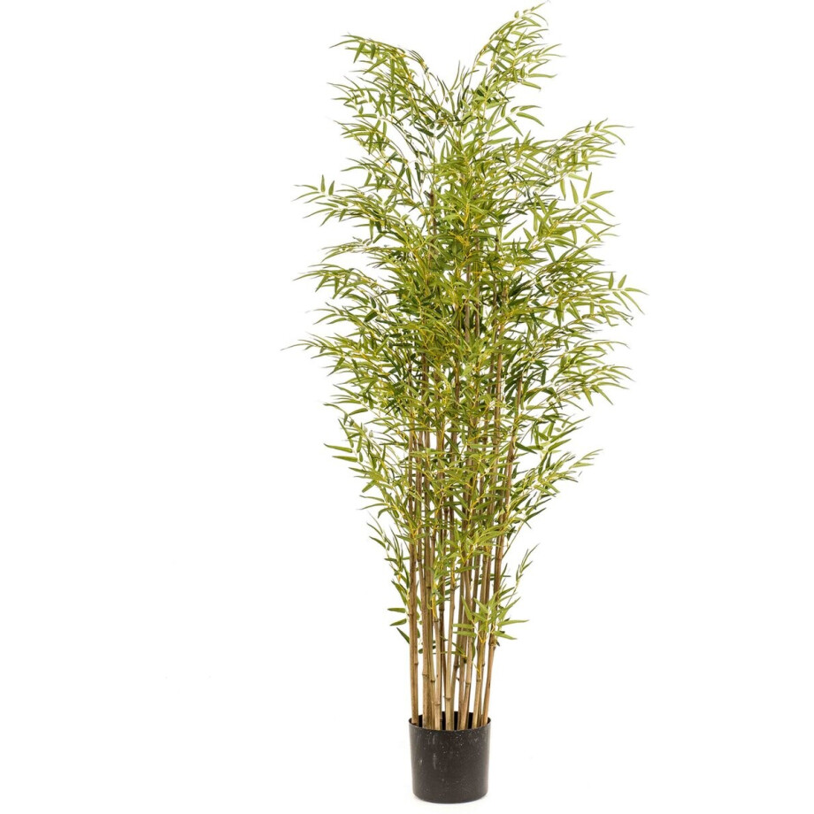 Emerald - Kunstplant Bamboe Japanese Multi 180cm - Kunstplant voor binnen Emerald - Kunstplant Bamboe Japanese Multi 180cm - Kunstplant voor binnen afbeelding 1