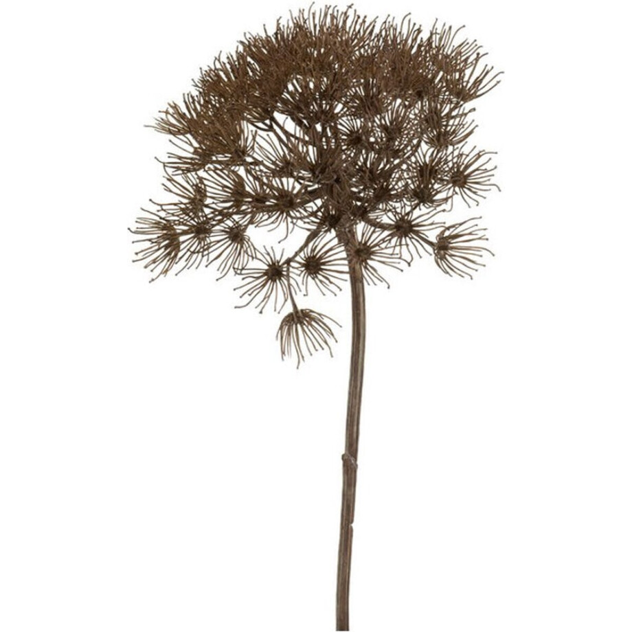 Emerald - Kunsttak Heracleum 80cm - Kunstplant voor binnen afbeelding 1