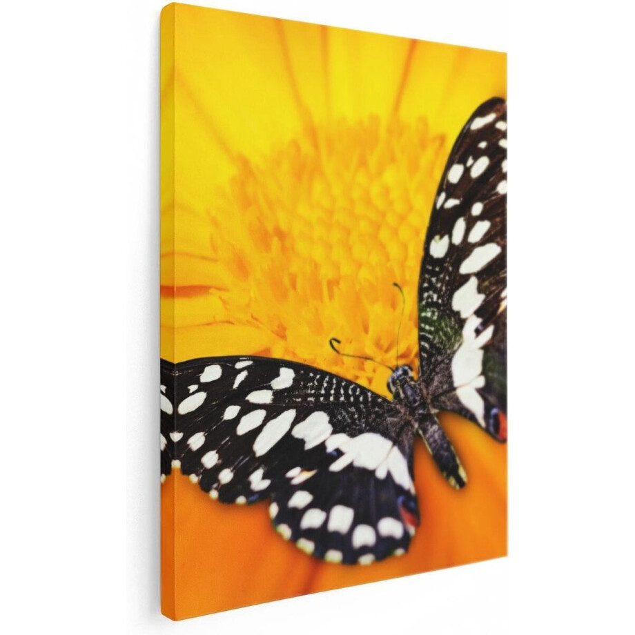 Artaza Canvas Schilderij Bloem Met Vlinder - 30x40 cm - Klein - Muurdecoratie Vlinders - Wanddecoratie Bloemen - Schilderijen Op Canvas Artaza Canvas Schilderij Bloem Met Vlinder - 30x40 cm - Klein - Muurdecoratie Vlinders - Wanddecoratie Bloemen - Schilderijen Op Canvas afbeelding 1