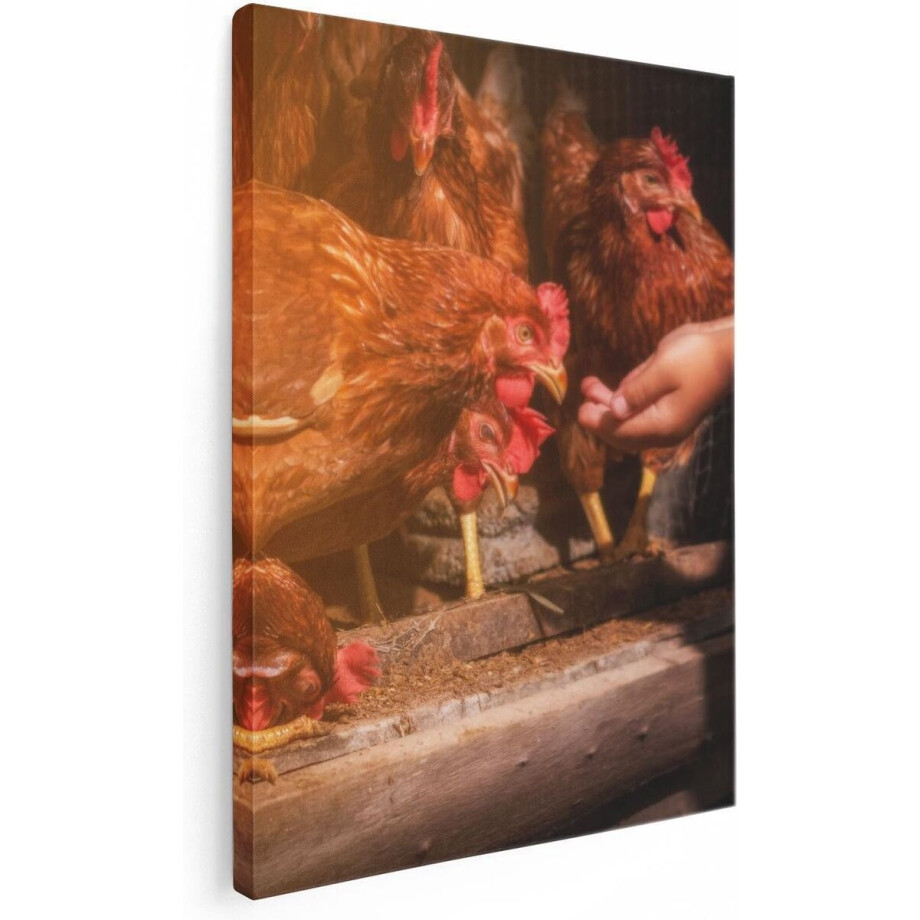 Artaza Canvas Schilderij Kippen - 60x80 cm - Wanddecoratie Dieren - Muurdecoratie Boerderij - Schilderijen Op Canvas Natuur afbeelding 1