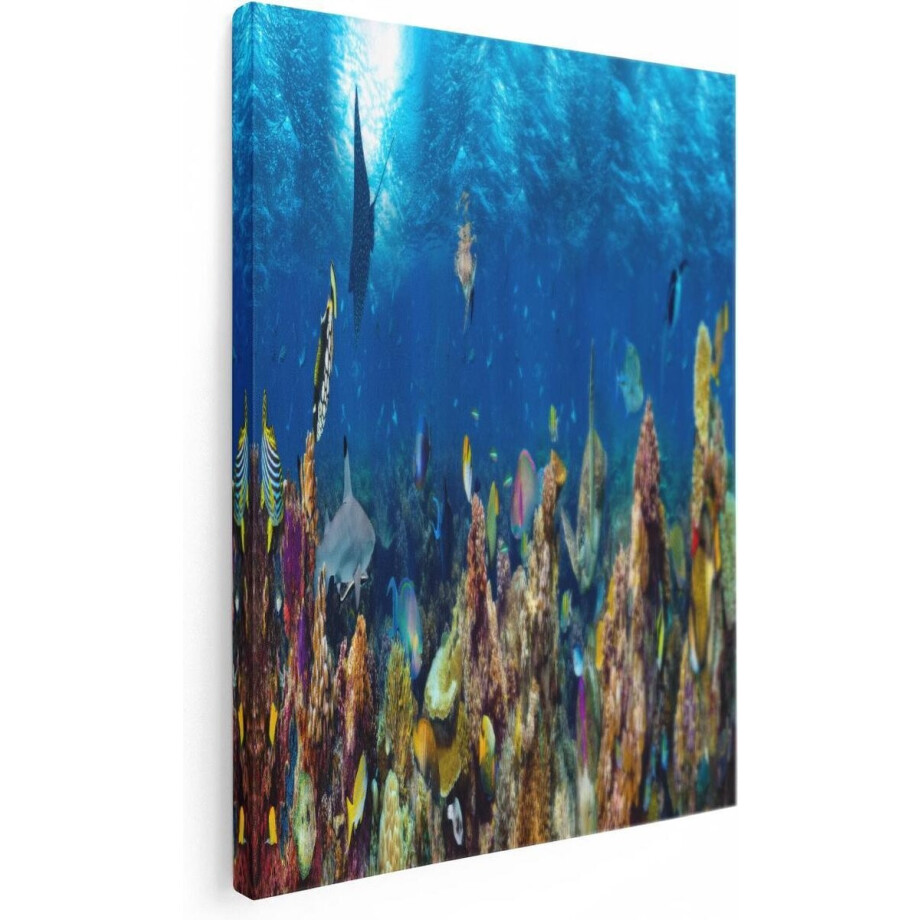 Artaza Canvas Schilderij Koraalrif - 60x80 cm - Wanddecoratie Zee - Muurdecoratie Vissen - Schilderijen Onderwaterwereld Artaza Canvas Schilderij Koraalrif - 60x80 cm - Wanddecoratie Zee - Muurdecoratie Vissen - Schilderijen Onderwaterwereld afbeelding 1