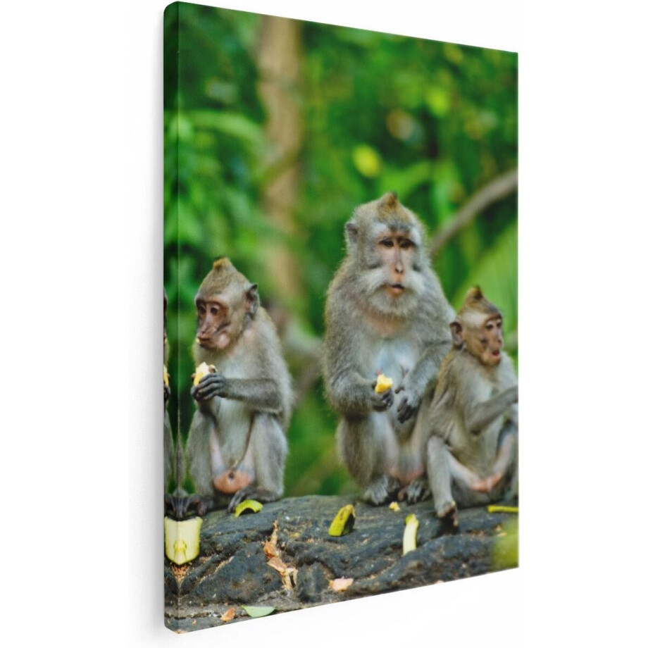 Artaza Canvas Schilderij Aap - 60x80 cm - Wanddecoratie Jungle - Muurdecoratie Dieren - Schilderijen Op Canvas afbeelding 1