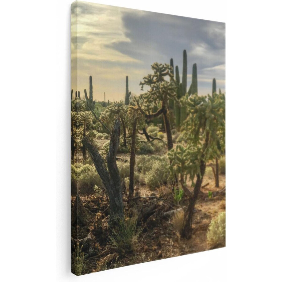 Artaza Canvas Schilderij Cactus Planten in het Wild - 30x40 - Klein - Foto Op Canvas - Canvas Print afbeelding 1