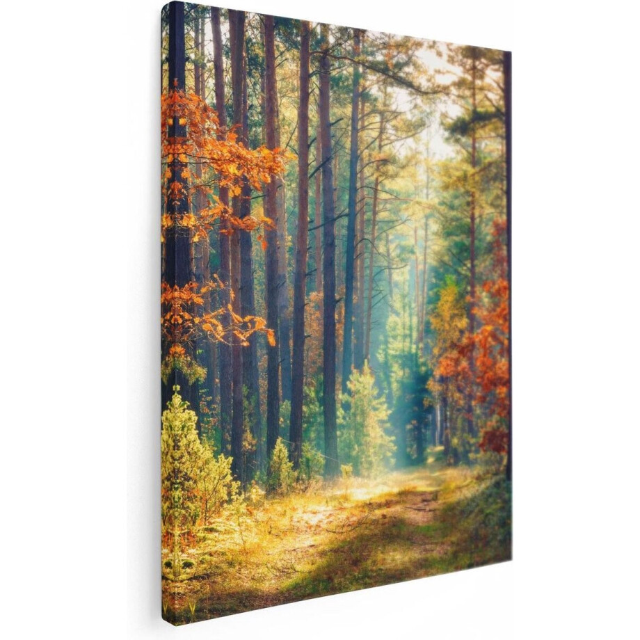 Artaza Canvas Schilderij Bos - 60x80 cm - Wanddecoratie Herfst - Muurdecoratie Landschap - Schilderijen Op Canvas Natuur afbeelding 1