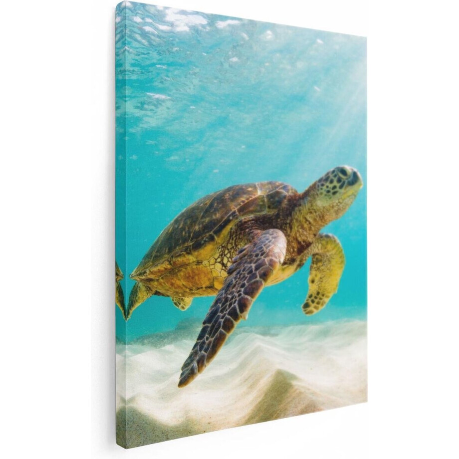 Artaza Canvas Schilderij Schildpad - 30x40 cm - Klein - Muurdecoratie Strand - Wanddecoratie Zee - Kamer Accessoires Artaza Canvas Schilderij Schildpad - 30x40 cm - Klein - Muurdecoratie Strand - Wanddecoratie Zee - Kamer Accessoires afbeelding 1