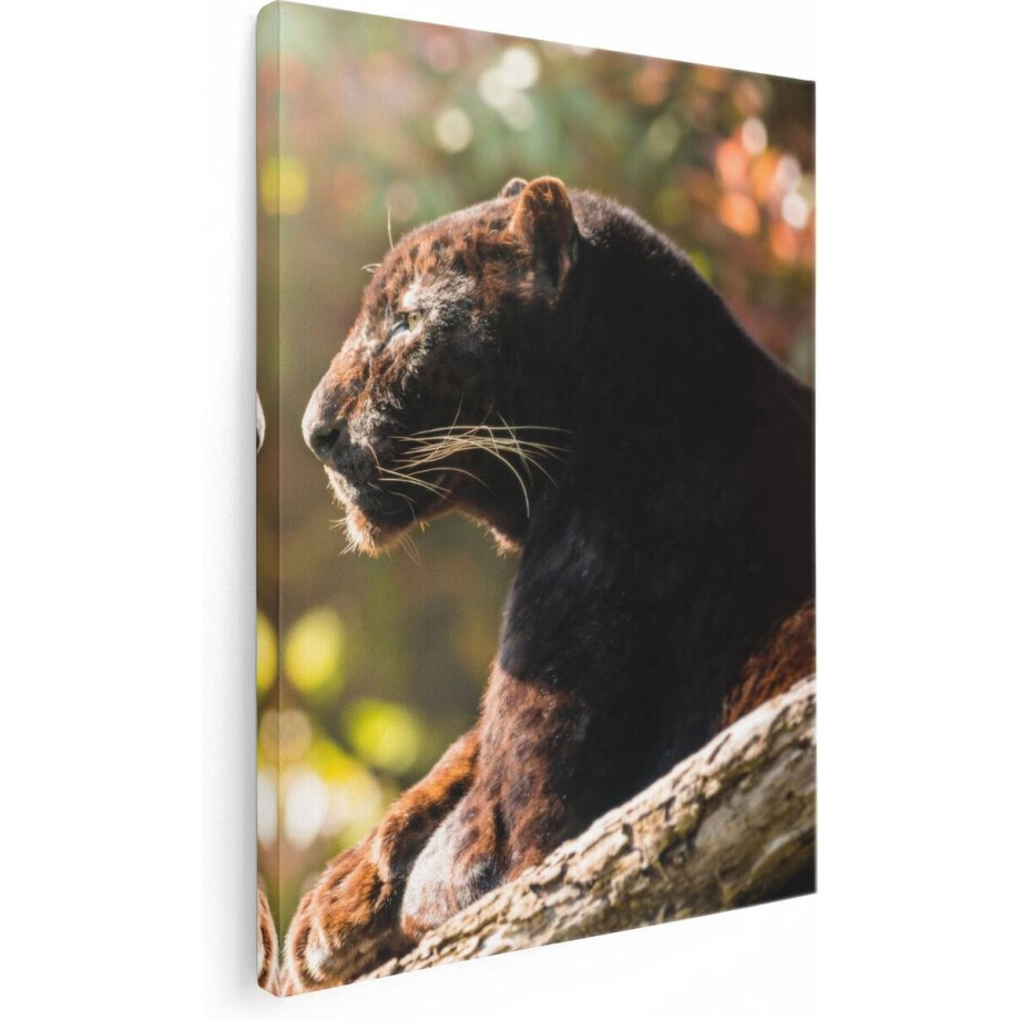 Artaza Canvas Schilderij Zwarte Panter Vanaf De Zijkant - 60x80 - Foto Op Canvas - Canvas Print Artaza Canvas Schilderij Zwarte Panter Vanaf De Zijkant - 60x80 - Foto Op Canvas - Canvas Print afbeelding 1